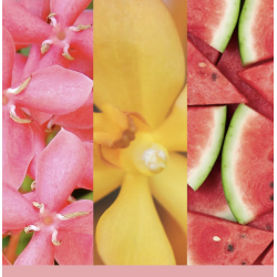 SABLES ROSES - DIFFUSEUR BÂTONS - YANKEE CANDLE