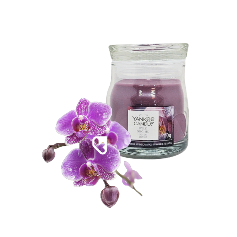 ORCHIDÉE SAUVAGE - PETITE JARRE - YANKEE CANDLE