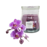 ORCHIDÉE SAUVAGE - PETITE JARRE - YANKEE CANDLE