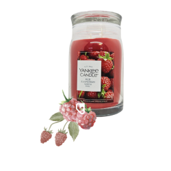 FRAMBOISE ROUGE - GRANDE...