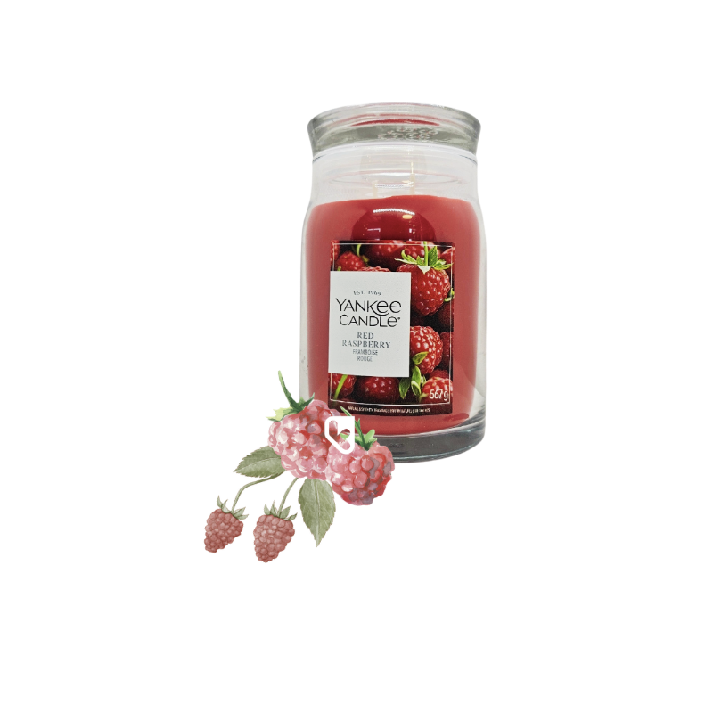 FRAMBOISE ROUGE - GRANDE JARRE - YANKEE CANDLE