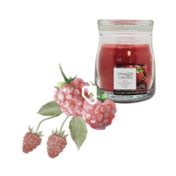 FRAMBOISE ROUGE - PETITE...