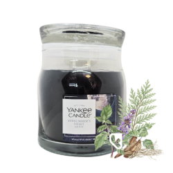 SONGE D'UNE NUIT D'ÉTÉ -...