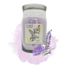 DOUCEUR DE LAVANDE - GRANDE JARRE - YANKEE CANDLE