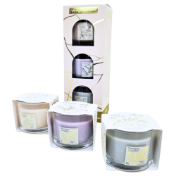 COFFRET CADEAU - 3 MINI VOTIVES - YANKEE CANDLE