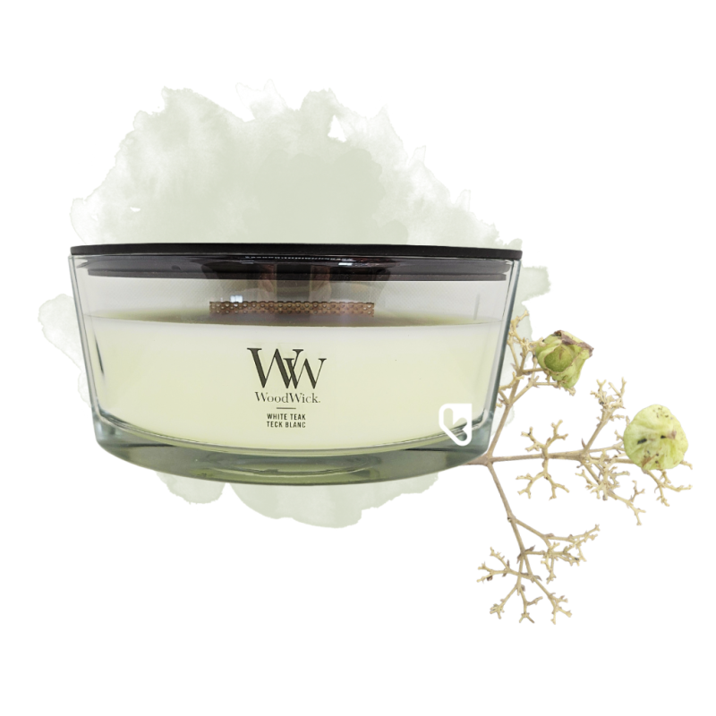 Teck blanc - Ellipse - Bougie WOODWICK