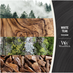 Teck blanc - Ellipse - Bougie WOODWICK