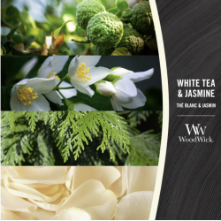 Thé blanc & Jasmin - Moyenne Jarre - Bougie WOODWICK