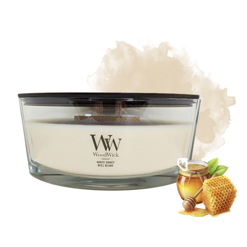 Miel Blanc - Ellipse - Bougie WOODWICK