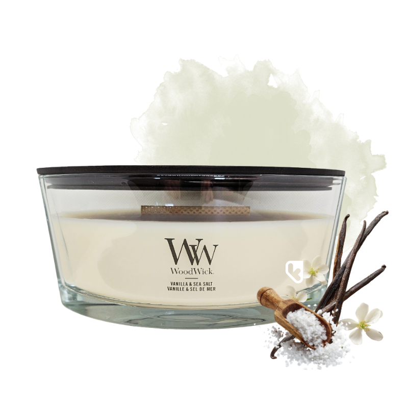 Vanille & Sel marin - Ellipse - Bougie WOODWICK