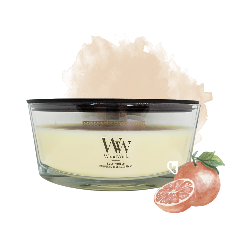 Pamplemousse luxuriant - Bougie Ellipse - WOODWICK
