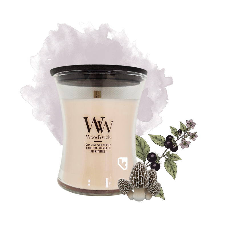 Baies de Morelle maritimes - Bougie Moyenne Jarre - WOODWICK