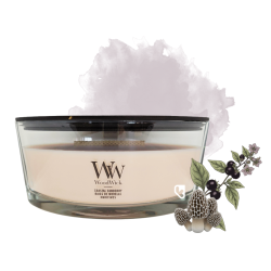 Baies de Morelle maritimes...