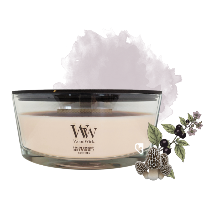 Baies de Morelle maritimes - Bougie Ellipse - WOODWICK