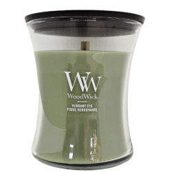 Figue verdoyante - Bougie Moyenne Jarre - WOODWICK