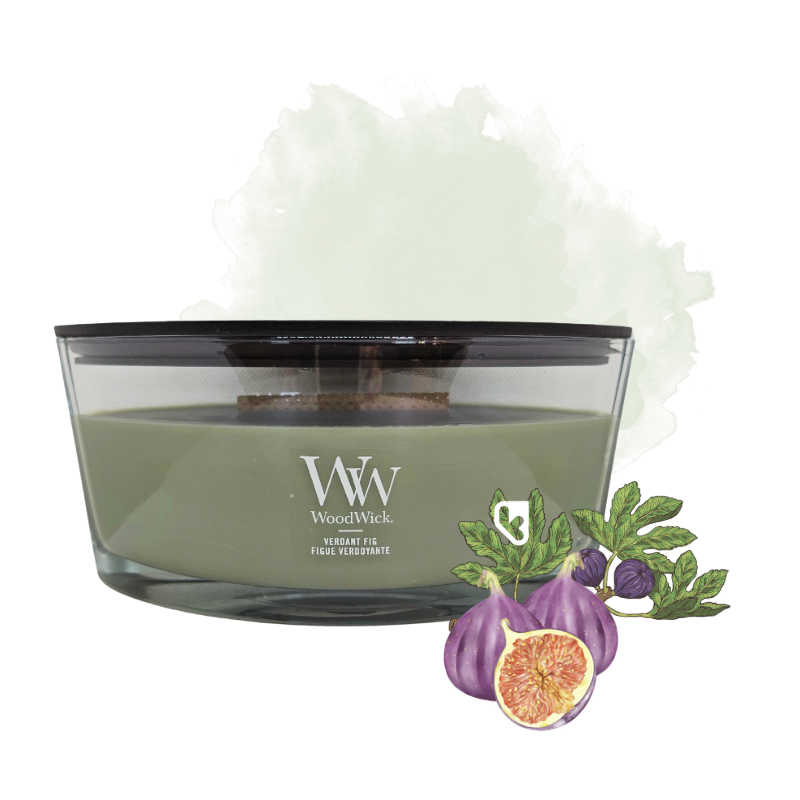 Figue verdoyante - Bougie Ellipse - WOODWICK