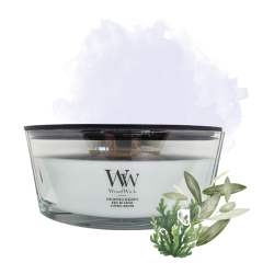 Bois de Sauge & Posidonie -...