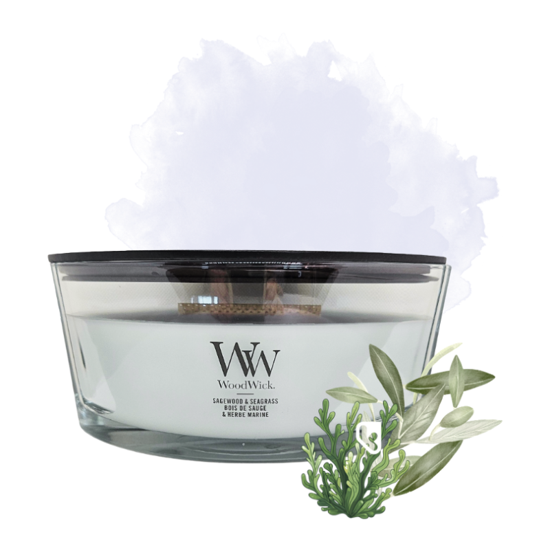 Bois de Sauge & Posidonie - Ellipse - Bougie WOODWICK