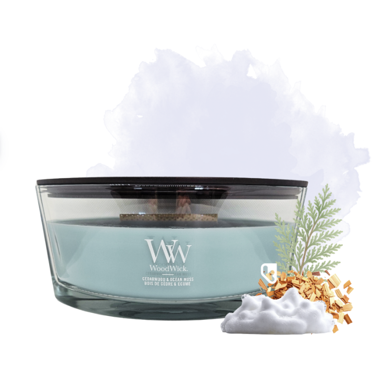 Bois de Cèdre & Ecume - Bougie Ellipse - WOODWICK