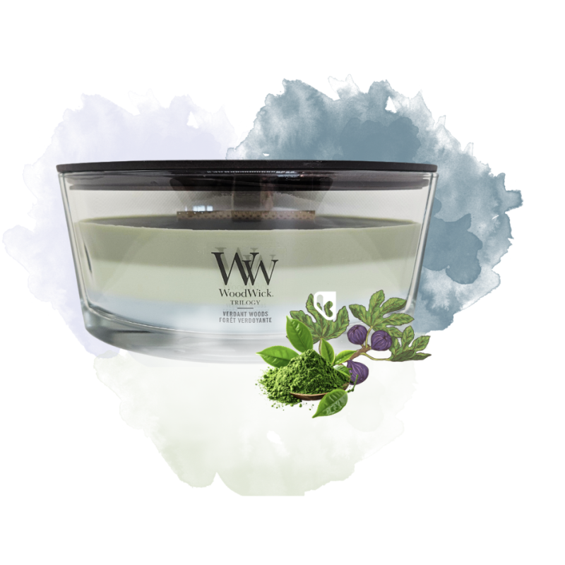 Forêt verdoyante - Bougie Ellipse Trilogy - WOODWICK