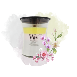 Floraison printanière -...