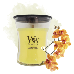 Orchidée solaire - Bougie...