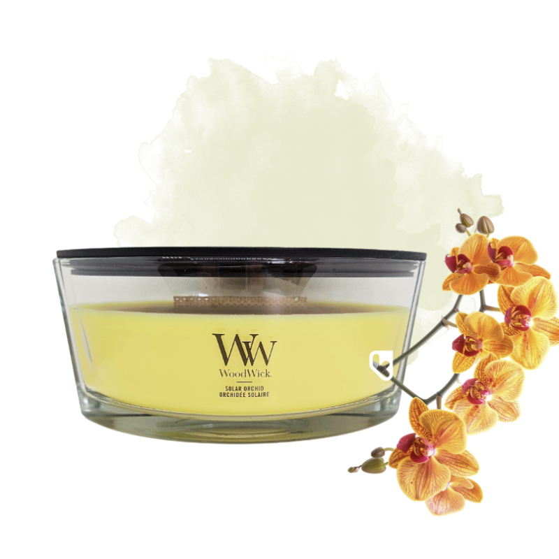 Orchidée solaire - Bougie Ellipse - WOODWICK