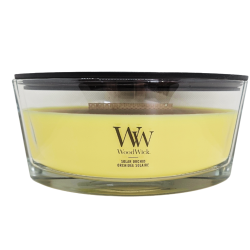 Orchidée solaire - Bougie Ellipse - WOODWICK