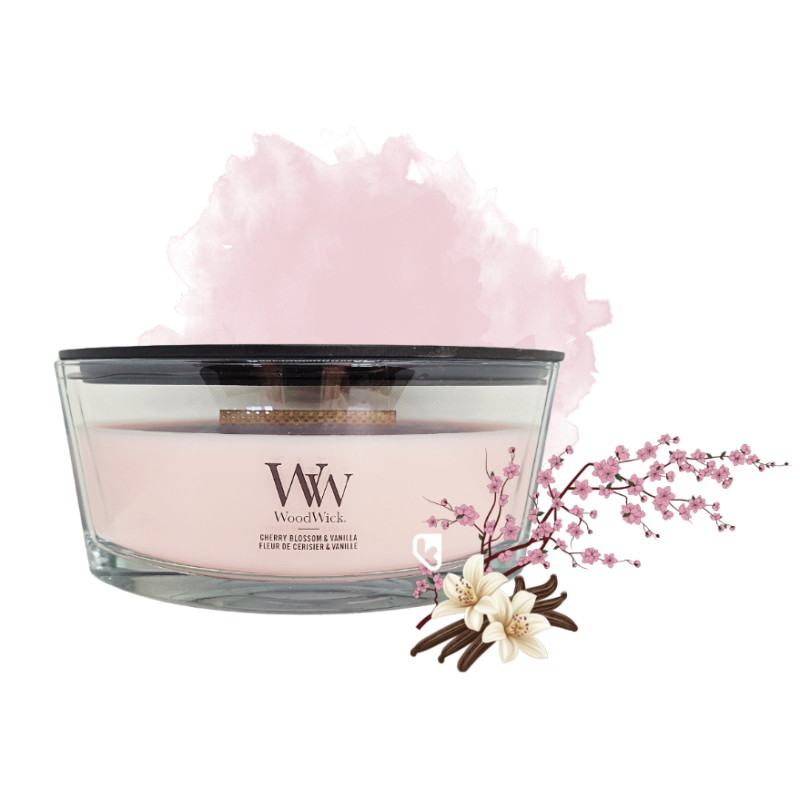 Fleur de Cerisier & Vanille - Bougie Ellipse - WOODWICK
