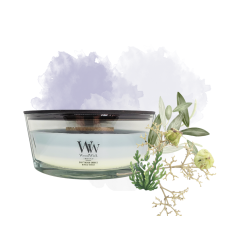 Rivage boisé - Bougie...