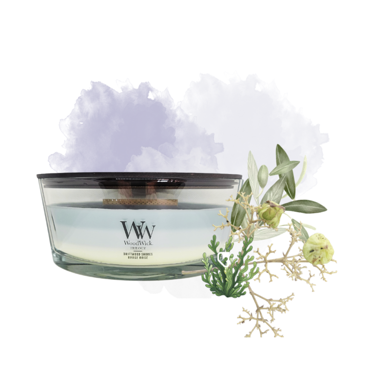 Rivage boisé - Bougie Ellipse TRILOGY - WOODWICK
