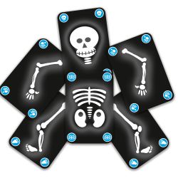 Bogoss - Jeu de Cartes - DJECO