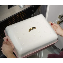 L'INCROYABLE DÔME DE CUISSON POUR PLAT À FOUR - COOKUT