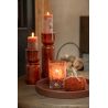 CITROUILLE TISSU ROUILLE S - J-LINE