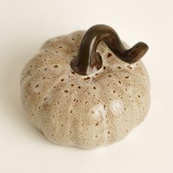 PUMPKIN - CITROUILLE BEIGE 9CM - HOME ELDEWEISS