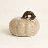 PUMPKIN - CITROUILLE BEIGE 9CM - HOME ELDEWEISS