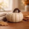 PUMPKIN - CITROUILLE BEIGE 9CM - HOME ELDEWEISS