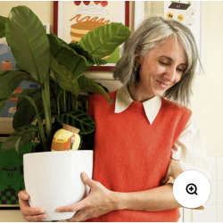 OLLA - HOT DOG PAR CHARLOTTE JANVIER - PEPIN