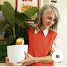 OLLA - HOT DOG PAR CHARLOTTE JANVIER - PEPIN