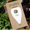 OLLA - VERT - PEPIN