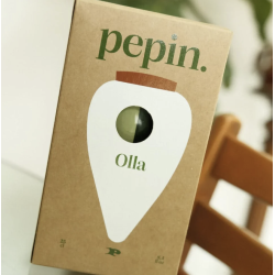 OLLA - RAYÉ VERT ET VERT - PEPIN