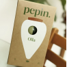 OLLA - RAYÉ VERT ET VERT - PEPIN