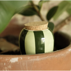 OLLA - RAYÉ VERT ET VERT - PEPIN