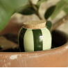 OLLA - RAYÉ VERT ET VERT - PEPIN