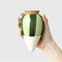 OLLA - RAYÉ VERT ET VERT -...