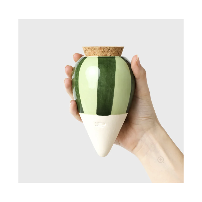 OLLA - RAYÉ VERT ET VERT - PEPIN