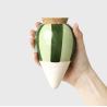 OLLA - RAYÉ VERT ET VERT - PEPIN