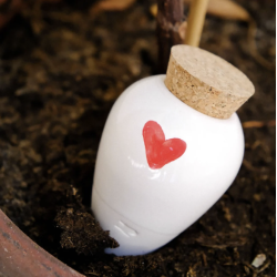OLLA - COEUR - PEPIN