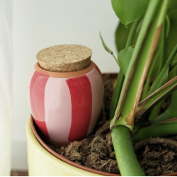 OLLA - RAYÉ ROSE ET ROUGE - PEPIN