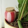 OLLA - RAYÉ ROSE ET ROUGE - PEPIN